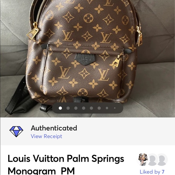 Louis Vuitton PALM SPRING Monogram PM size main image 14